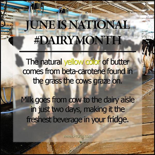 June is National Dairy Month